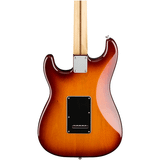  FENDER PLAYER STRAT HSH PAU FERRO TOBACCO SUNBURST #0144533552 (Hàng trưng bán) 