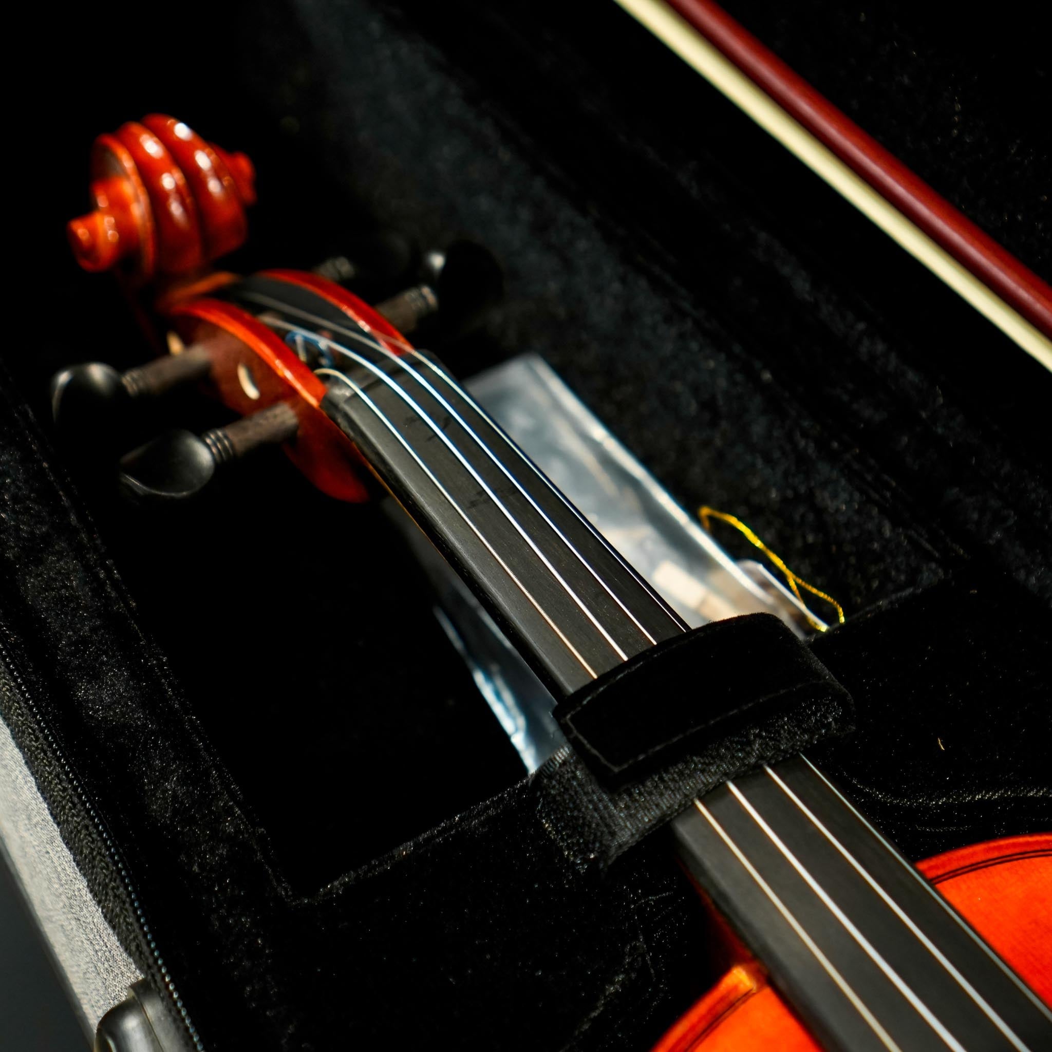  SUZUKI- Đàn Violin - Violin Japan size 3/4 NS20OF