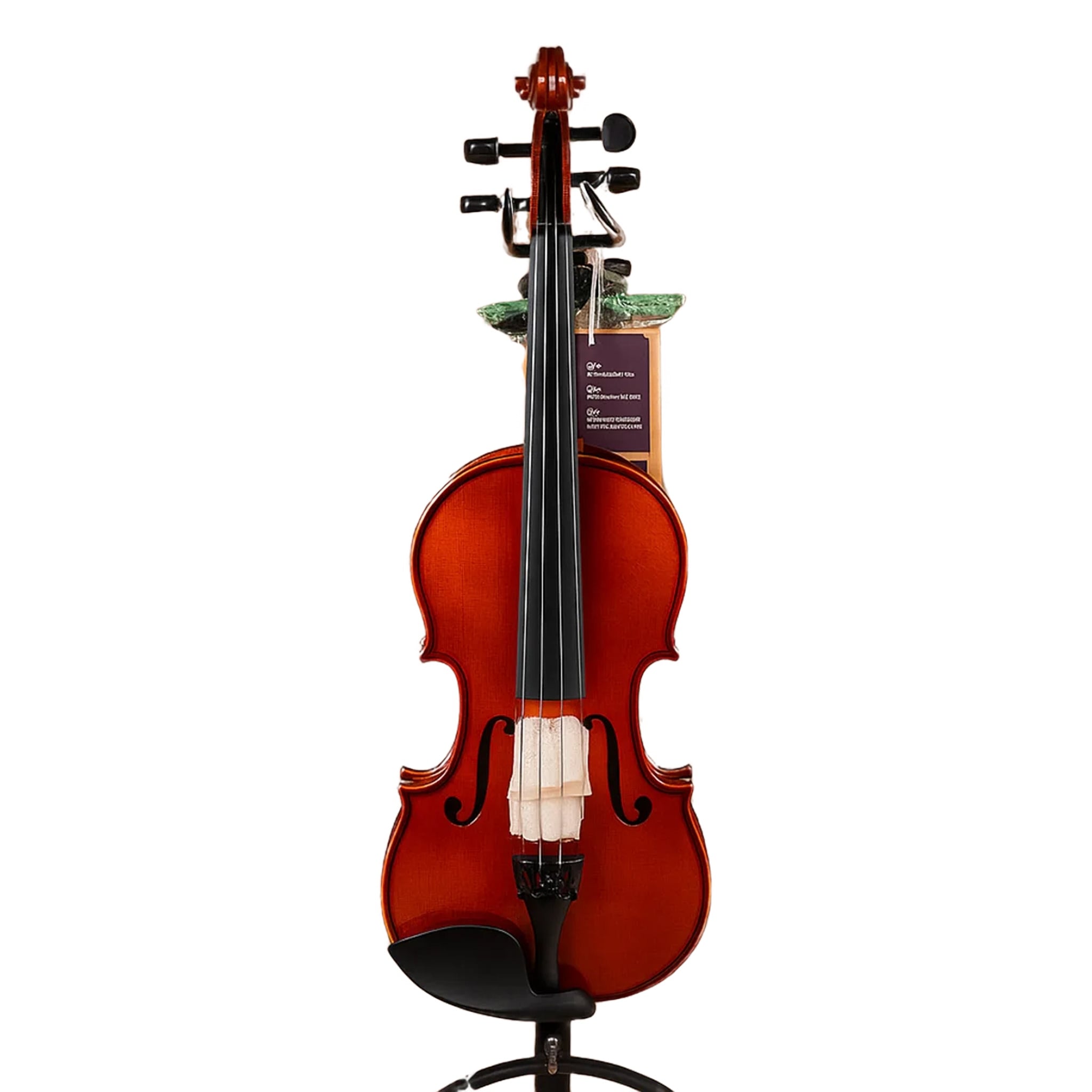  Đàn Violin PHOENIX VS101E size 4/4
