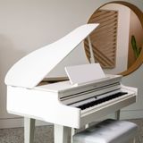  ROLAND GP-6-PE (GP6) 