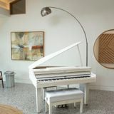  ROLAND GP-6-PE (GP6) 
