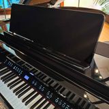  ROLAND GP-9M-PE (GP9M) 