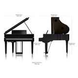 ROLAND GP-9M-PW (GP9M) 