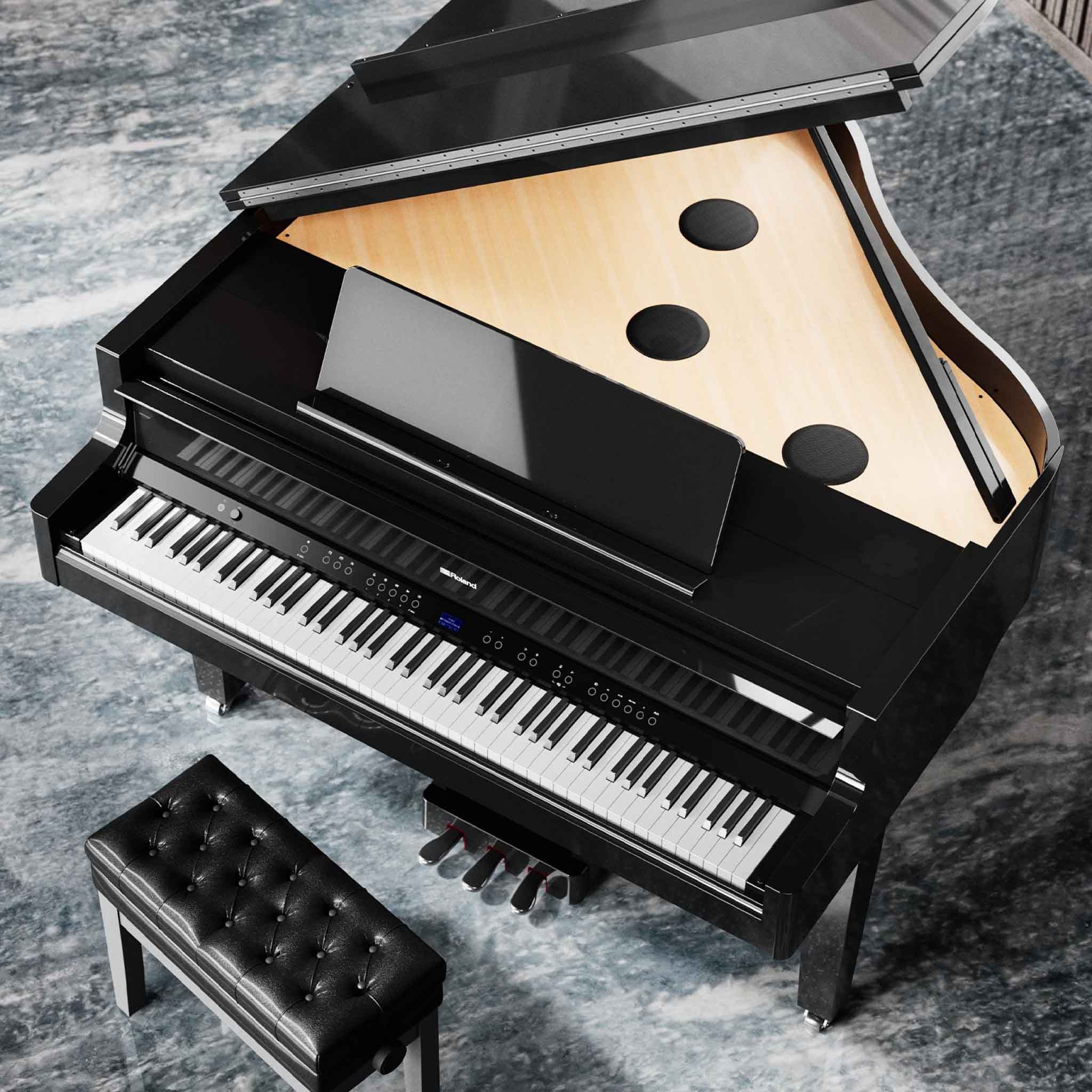  ROLAND GP-9M-PE (GP9M)
