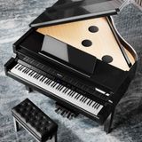  ROLAND GP-9M-PE (GP9M) 