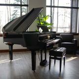  ROLAND GP-9M-PE (GP9M) 