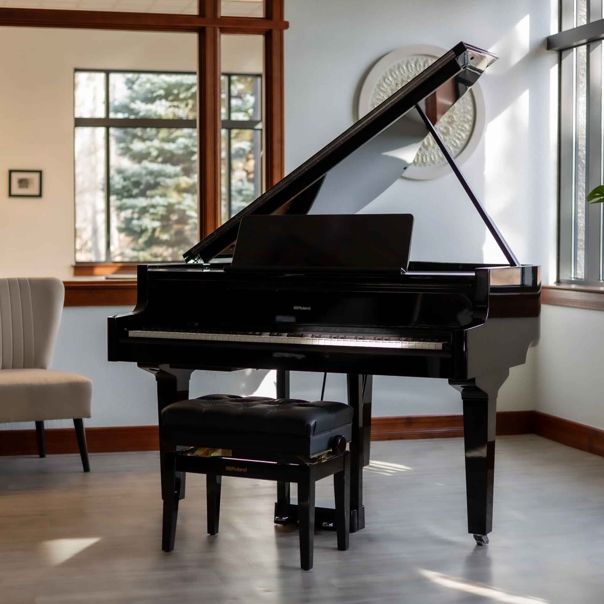  ROLAND GP-9M-PE (GP9M)