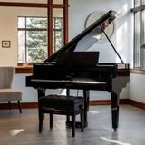 ROLAND GP-9M-PE (GP9M) 