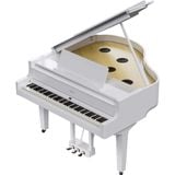  ROLAND GP-9M-PW (GP9M) 
