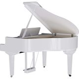  ROLAND GP-9M-PW (GP9M) 