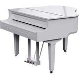  ROLAND GP-9M-PW (GP9M) 