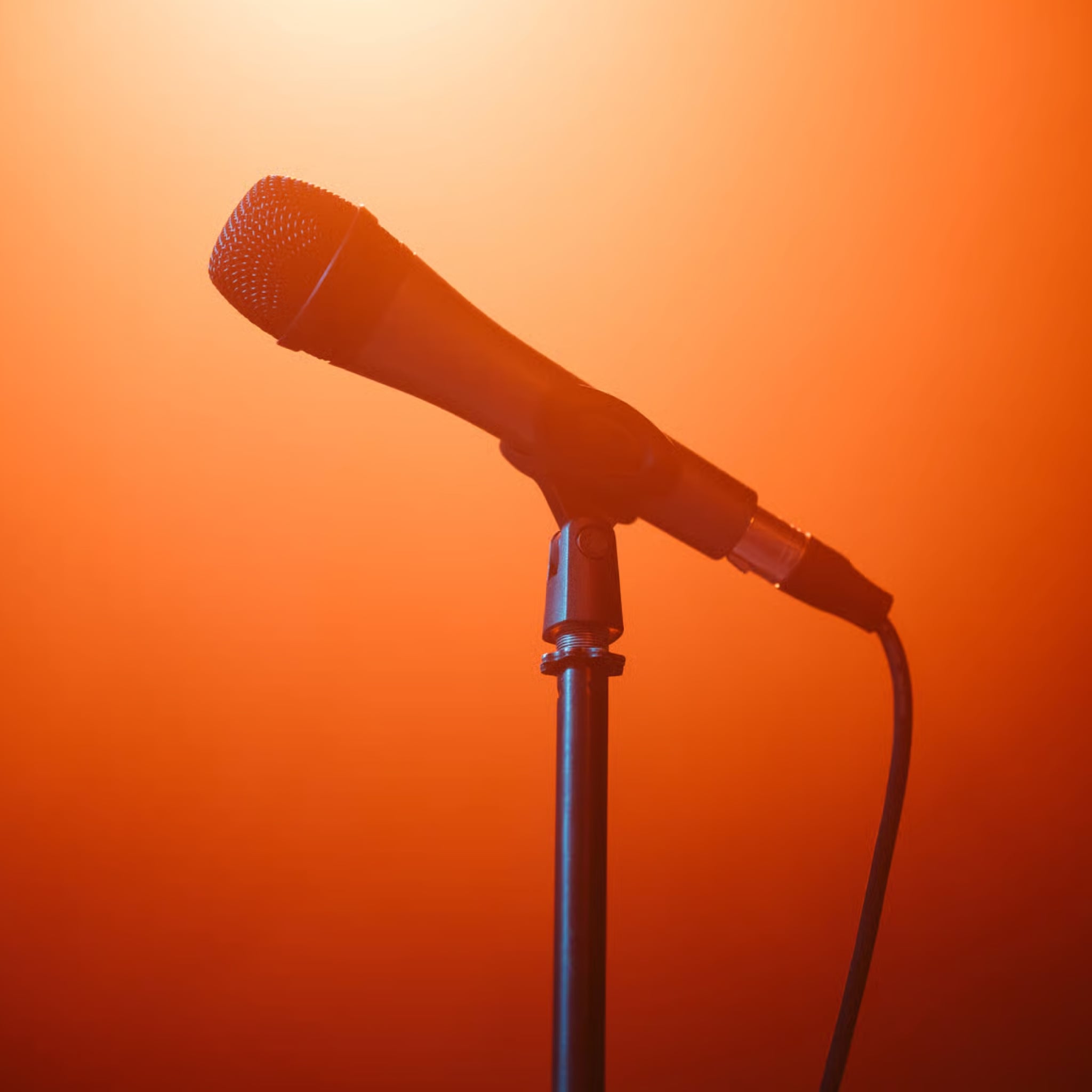  Micro Vocal SENNHEISER E 835-S