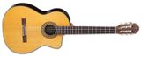  Takamine TC132SC 