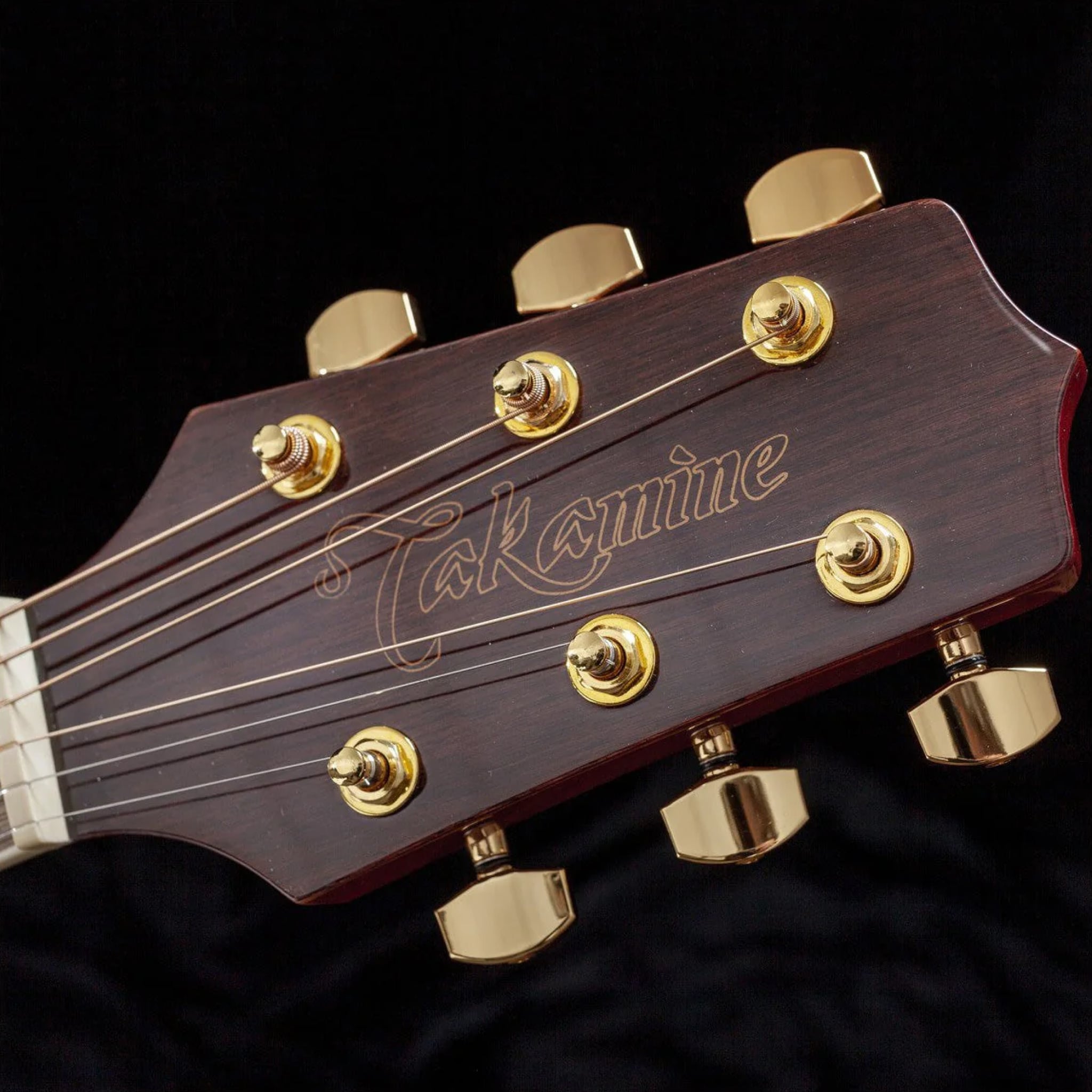  TAKAMINE GD51CE-NAT