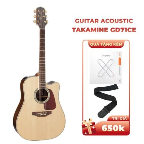  TAKAMINE GD71CE-NAT 