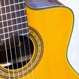  Takamine TC132SC 