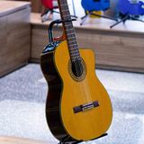  Takamine TC132SC 