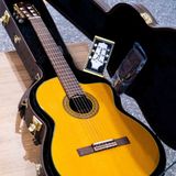  Takamine TC132SC 