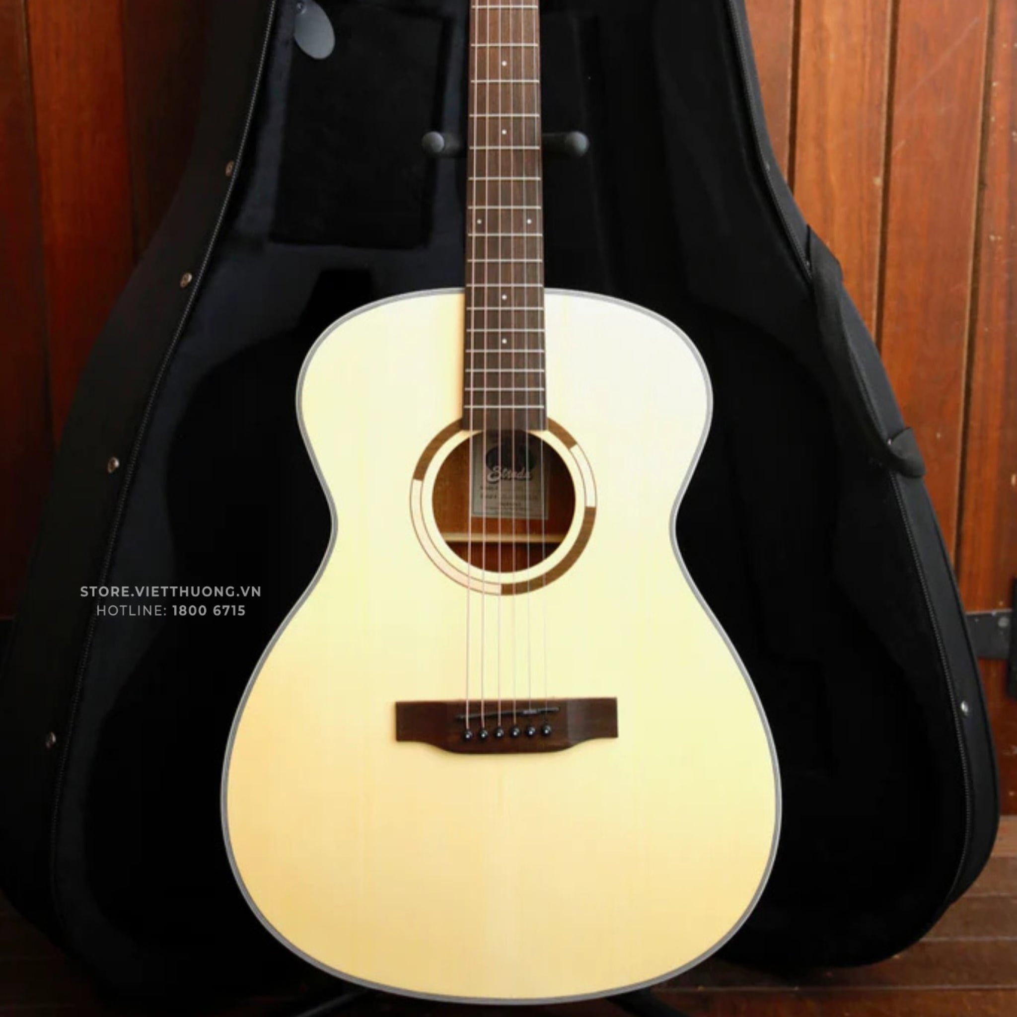  Đàn guitar acoustic Tanglewood TS3