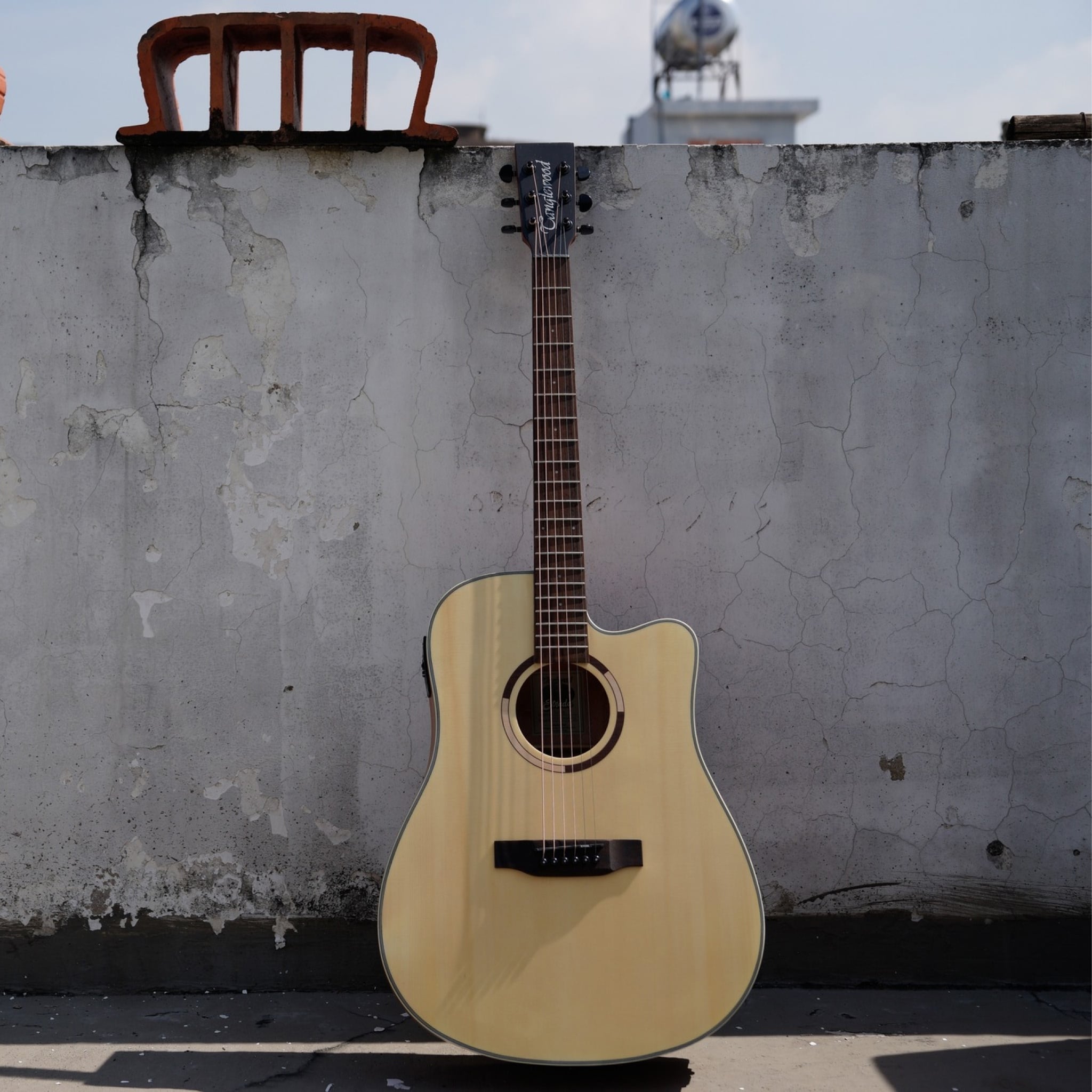  TANGLEWOOD TS5CE