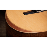  TAYLOR ACADEMY-12E-N LTD 