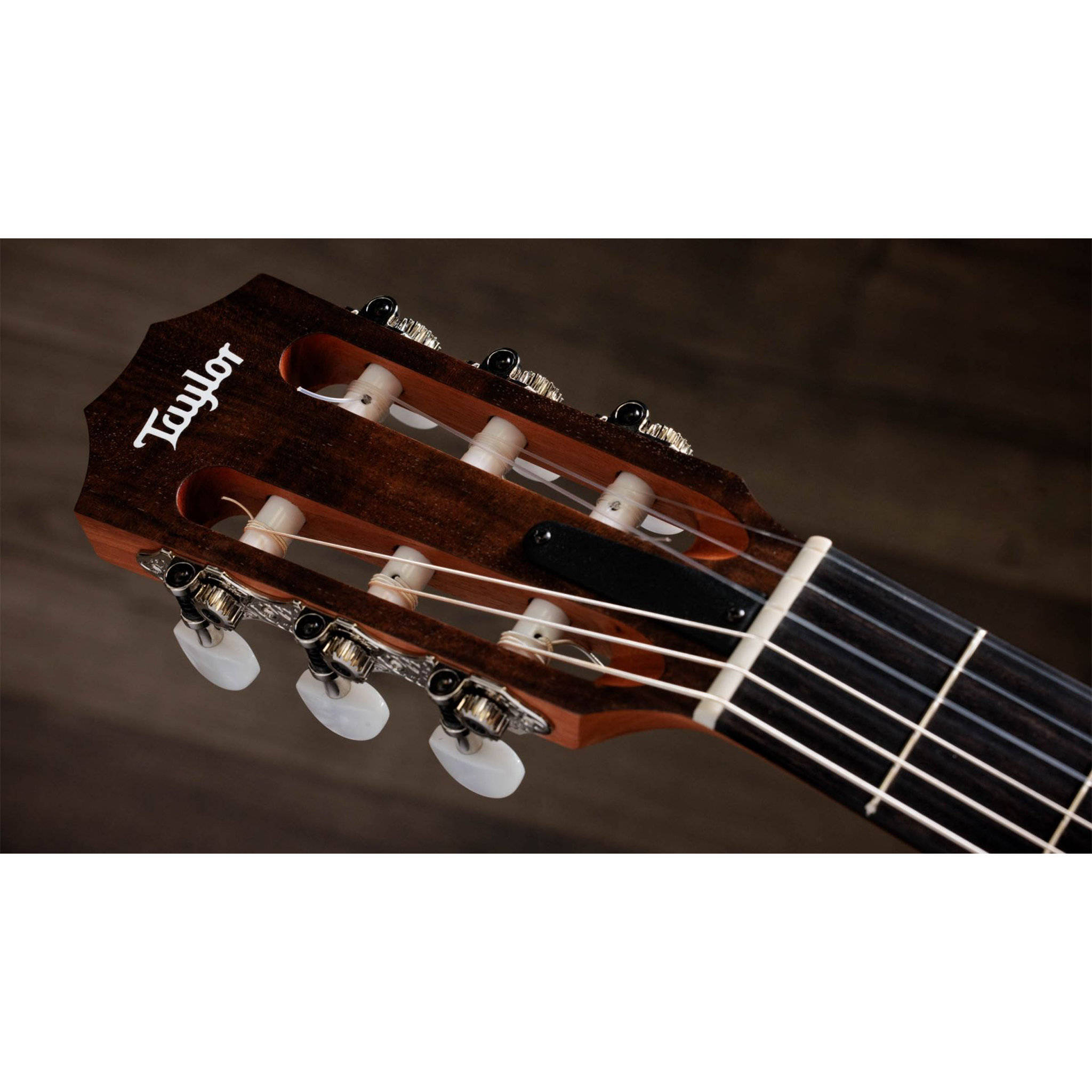  TAYLOR ACADEMY-12E-N LTD