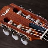 TAYLOR ĐÀN GUITAR NYLON ACADEMY-12E-N 