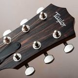  Đàn guitar TAYLOR GTE-URBAN-ASH 