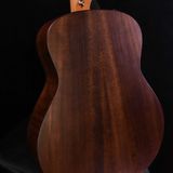  Đàn guitar TAYLOR GTE-URBAN-ASH 