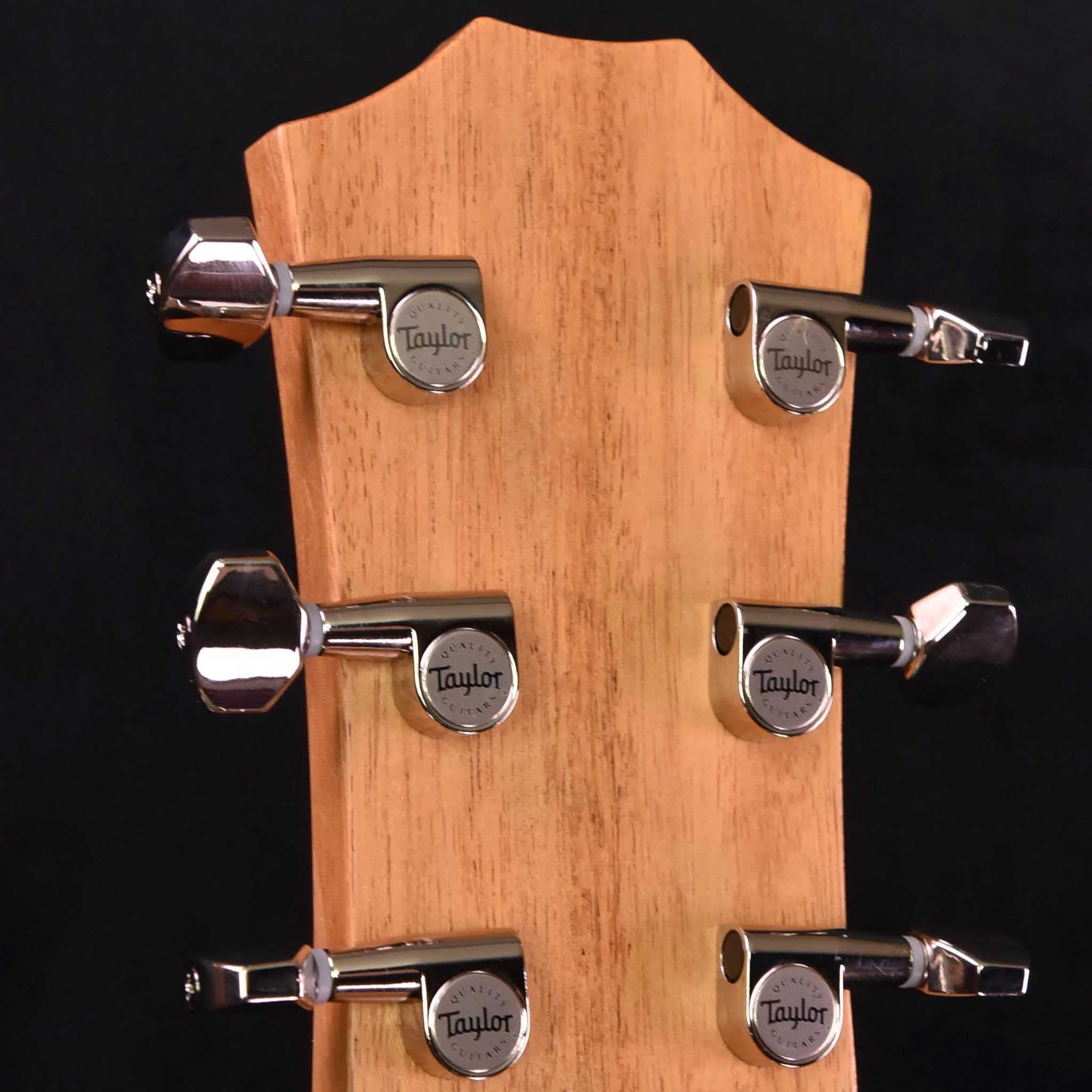  Đàn guitar TAYLOR GTE-URBAN-ASH