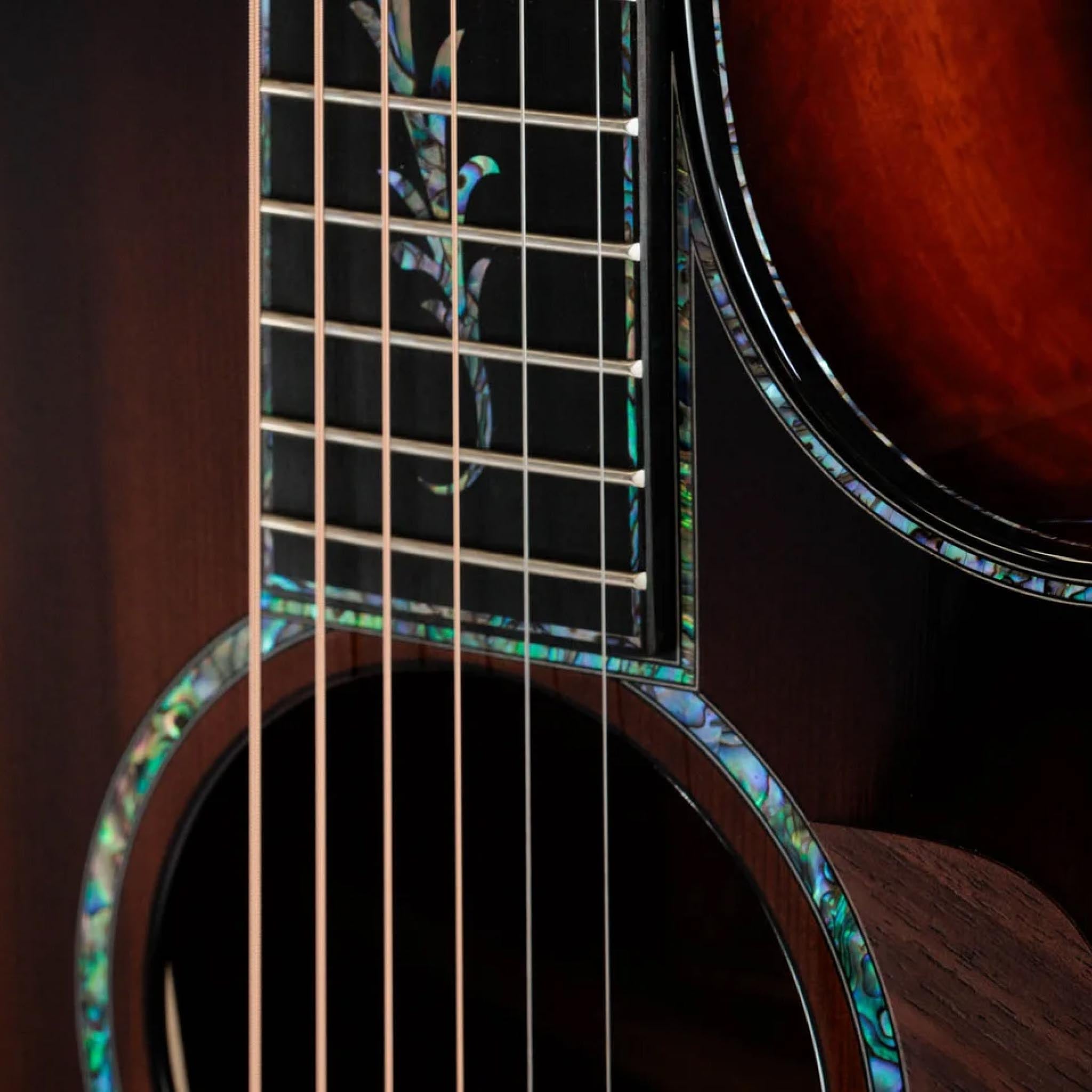  TAYLOR PS14CE HONDURAN ROSEWOOD