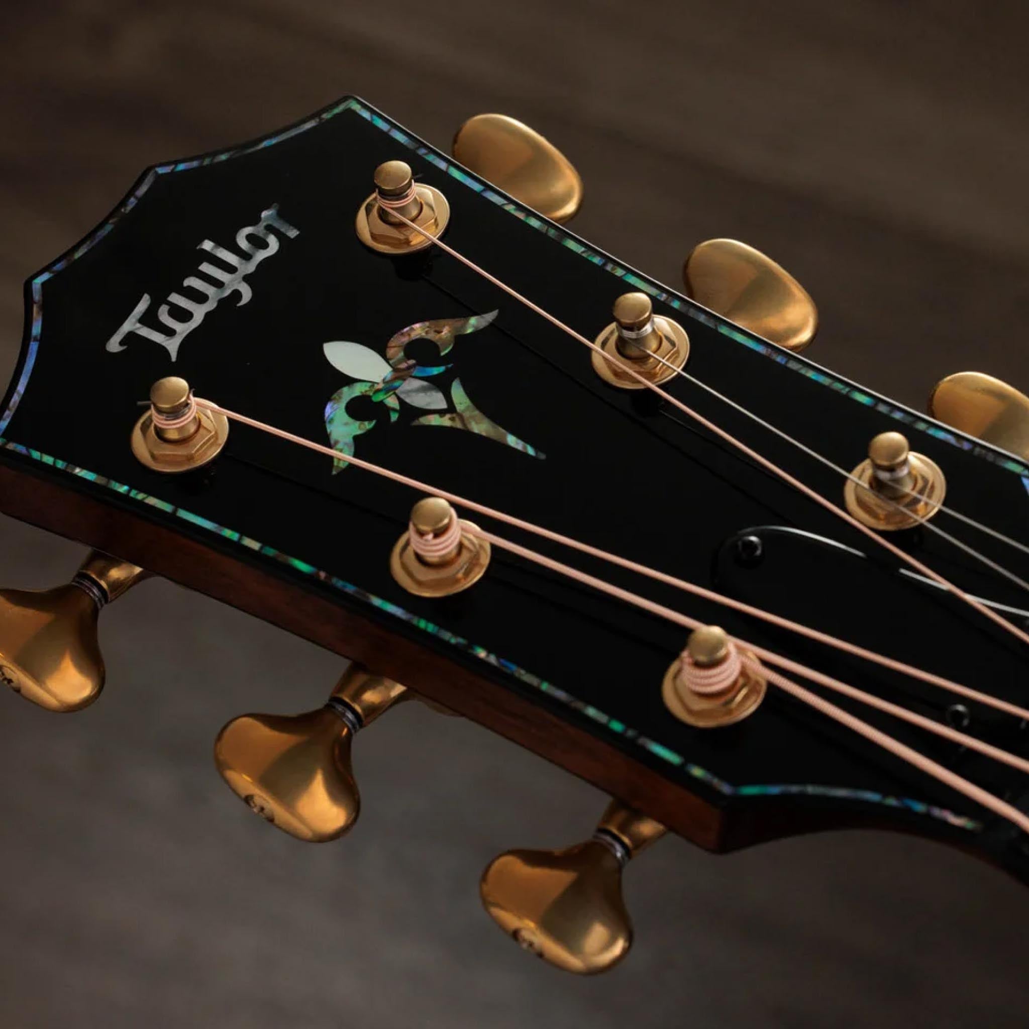  TAYLOR PS14CE HONDURAN ROSEWOOD