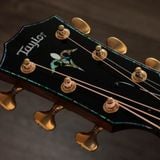  TAYLOR PS14CE HONDURAN ROSEWOOD 