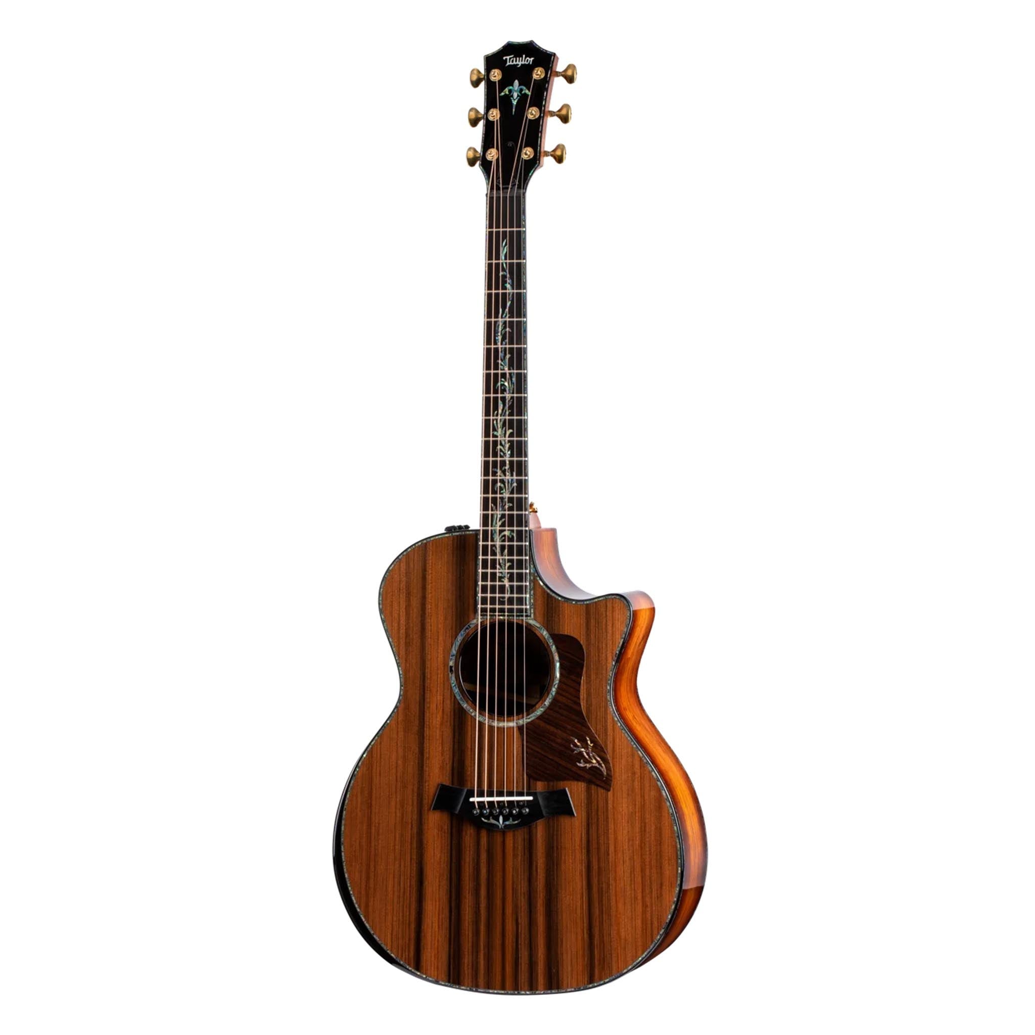  TAYLOR PS14CE HONDURAN ROSEWOOD