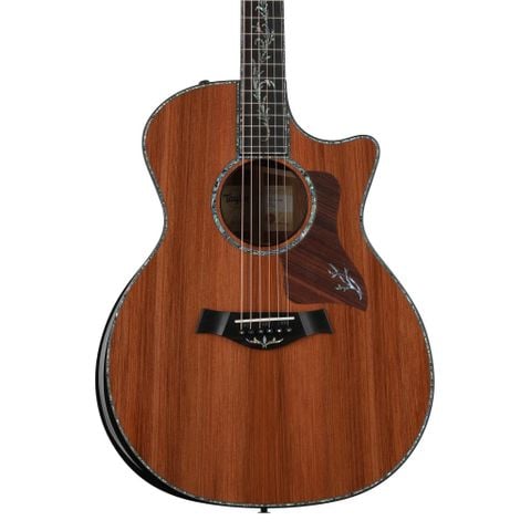  TAYLOR PS14CE HONDURAN ROSEWOOD 