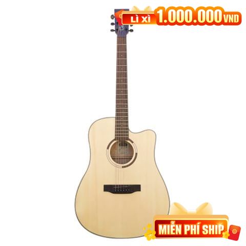  TANGLEWOOD TS5CE 