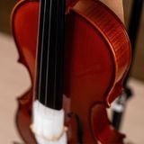  PHOENIX VIOLIN VP202E SIZE 3/4 