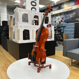  PHOENIX CHÂN ĐÀN VIOLIN VS00001 