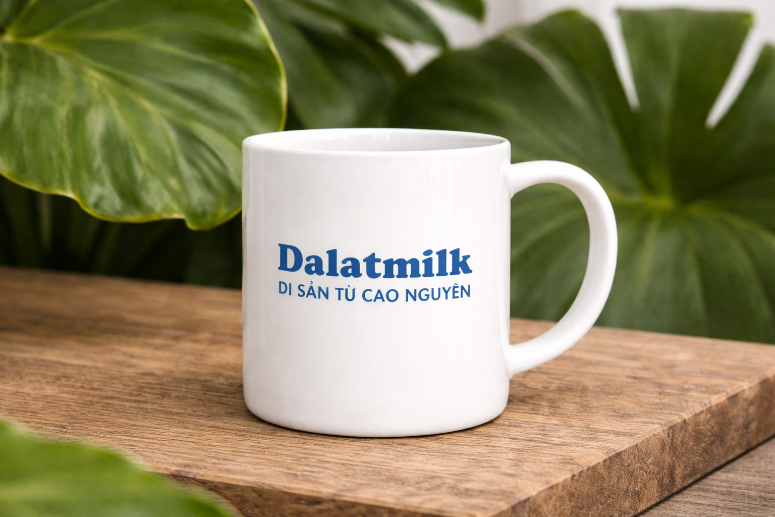  Ly sứ trắng cao cấp 