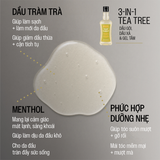3 - IN - 1 SHAMPOO