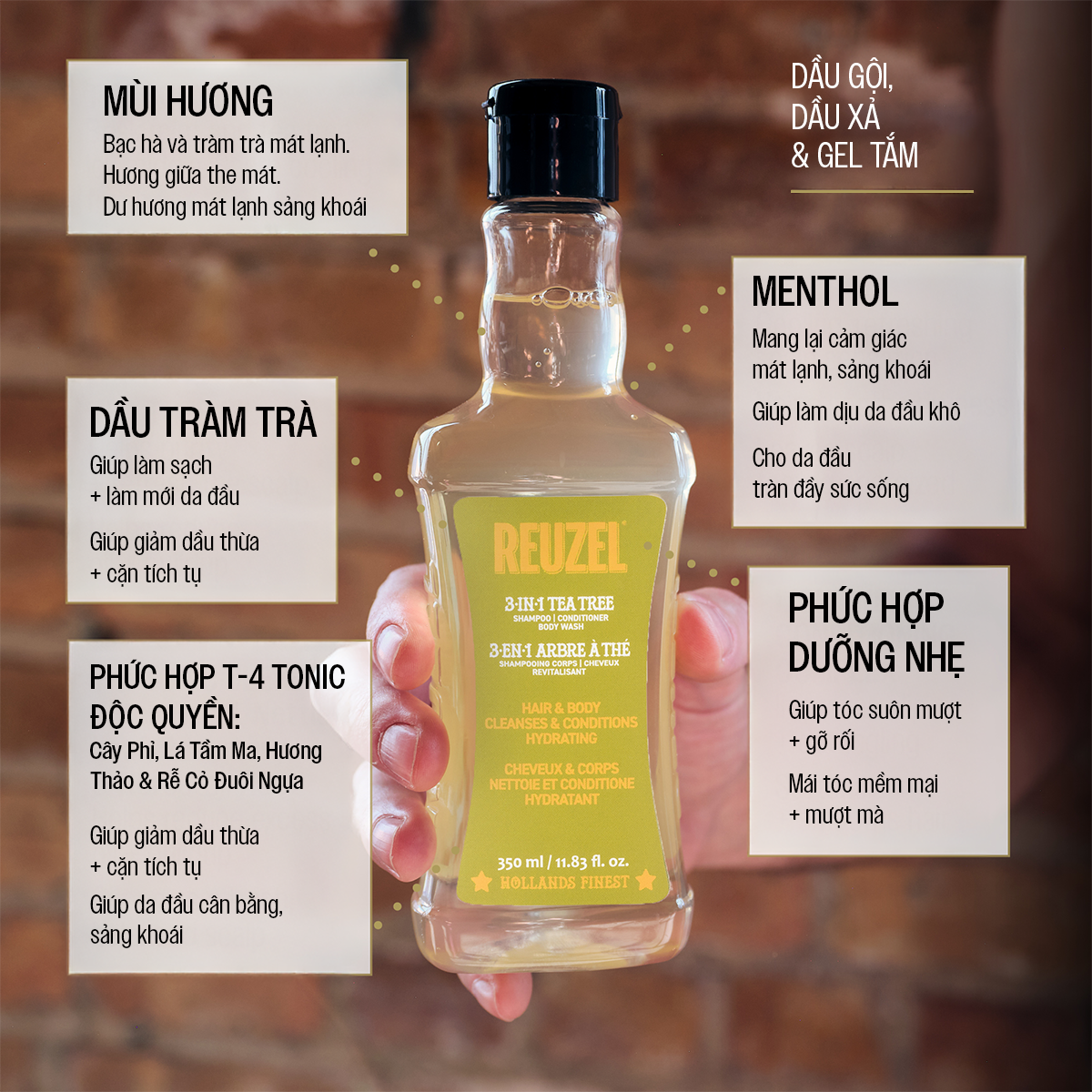 3 - IN - 1 SHAMPOO