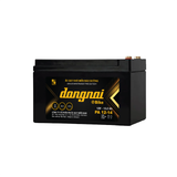  Ắc quy Xe đạp điện Đồng Nai PA 12-14 - 12V - 13.2Ah 
