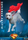 [ĐẶT TRƯỚC] HOT TOYS EXCLUSIVE MMS812 : Superman™ - Superman™ & Krypto™ 1/6th scale Collectible Set