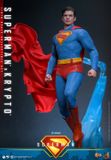 [ĐẶT TRƯỚC] HOT TOYS EXCLUSIVE MMS812 : Superman™ - Superman™ & Krypto™ 1/6th scale Collectible Set