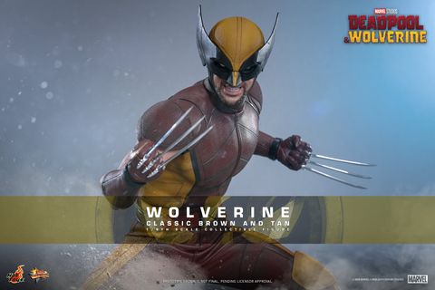 [ĐẶT TRƯỚC] HOT TOYS EXCLUSIVE - MMS831 - Deadpool & Wolverine : Wolverine (Classic Brown and Tan)  1/6 Collectible Figure