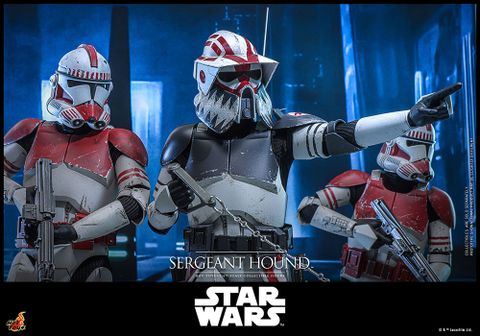 [ĐẶT TRƯỚC] HOT TOYS TMS167 Star Wars: The Clone Wars™ - 1/6th scale Sergeant Hound™ Collectible Figure