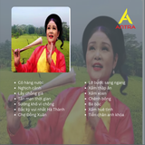  Băng Cassette Nhạc Xẩm – Hồn Việt Trong Từng Thanh Âm | 90 Phút (Thâu Băng Theo Yêu Cầu) 
