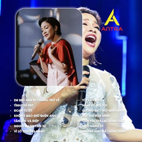  Bộ Sưu Tập Băng Cassette Mỹ Linh Nhạc Trữ Tình - Nhạc Trẻ Băng 90 Phút, Copy Nhạc Theo Yêu Cầu 