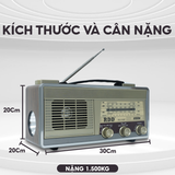  Đài Radio RD-310BT Thiết Kế Ngang Cổ Điển, Bắt Sóng AM/FM/SW, USB, Thẻ Nhớ, Bluetooth, BH 12 Tháng 