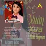  Combo Bộ Sưu Tập Băng Cassette Nhạc Xuân Xưa - Tuyển Tập Những Bài Hát Hay Nhất, Thu Trên Băng 50p Mới Nguyên Seal 